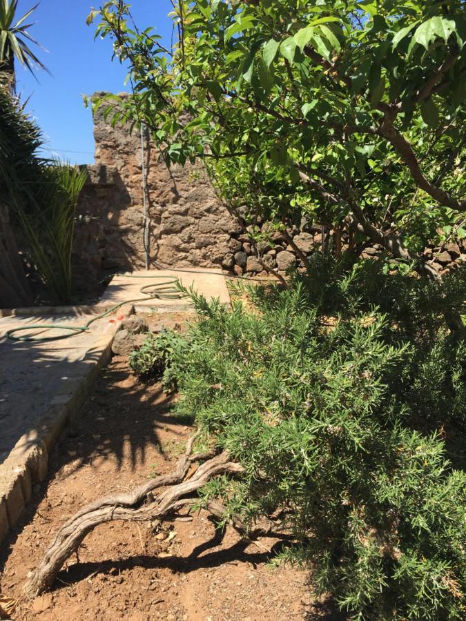 Cactus B&B Le Casette Di Marilena Pantelleria Exteriör bild
